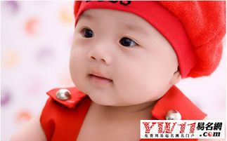 起个姓樊良好听的宝宝名字（精选良好名）