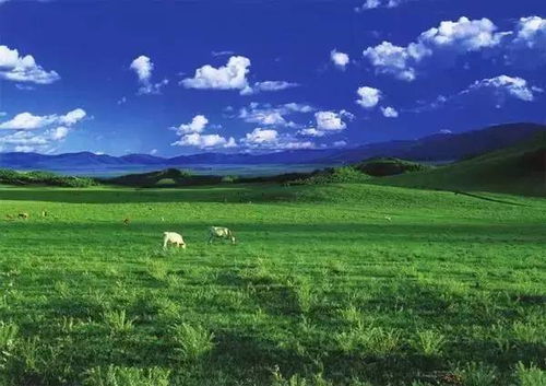 9月底至10月的金秋盛景：牧歌般的景象