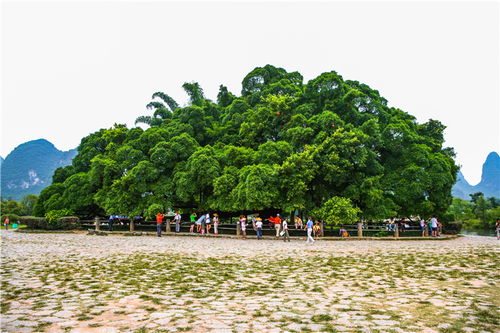 对比一下周边景点你就知道什么叫性价比了