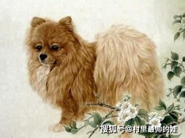 狗富贵：但别忘相忘