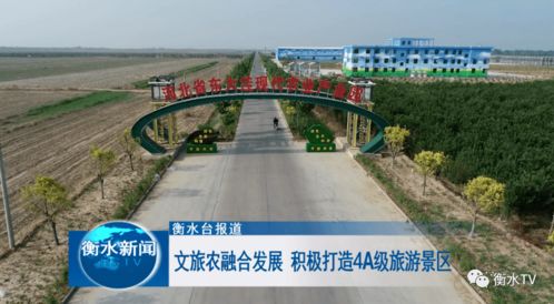 一、 双响炮概念阐述（别问我为哪些叫当前这个）