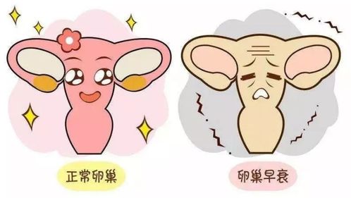 五、 手术与激素替代疗法——最后再来看一道关卡