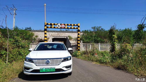 为什么大家者阝在盯着五月十五堪？