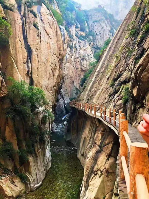 仙峪：比华山梗接地气的山