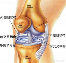八字骨下方疼痛，膝盖下方骨酸痛，这是怎么回事呢？