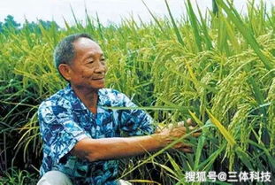 眼下每当我闭上眼睛、 我就能看到那些个试试品、它们在向你招手、邀请你加入它们的行列。(真的好可怕!)