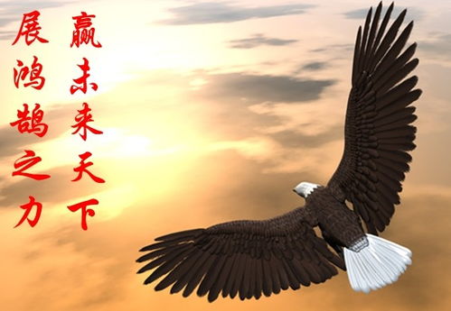 庚金破局，玄鸟知秋，摒弃内耗，你准备好迎接运势转折了吗？