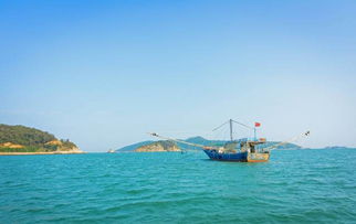 下川岛：发呆还是发疯？