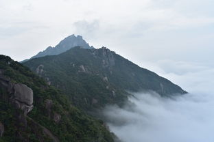 五一特惠， 享受独特体验