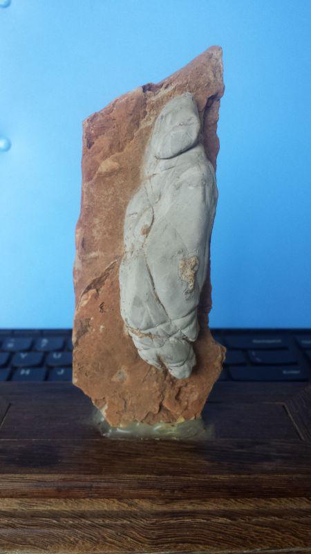 高铁奔驰， 心已远行