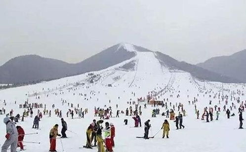 1. 雪质评估：从硬邦邦变软绵绵，如同踩进棉花糖云层。