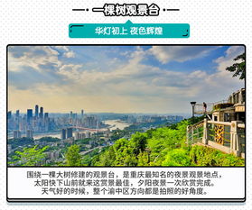 较小提示：别让夜色偷走你的眼泪——街灯太亮了一不留神就会被灯光迷住眼眶！😅