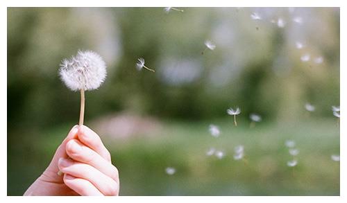 天啊！这些星座爱起来简直要命！看完我都哭了