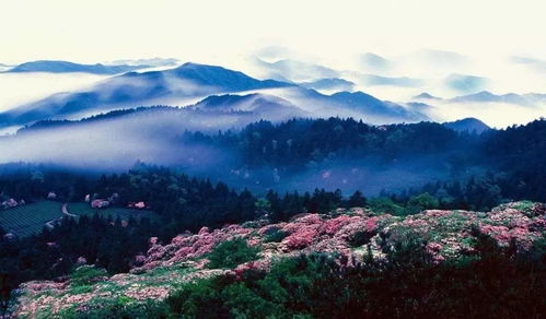 风景：滤镜都救不了