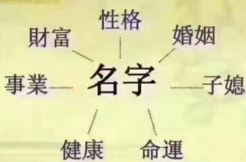 语言文字的解析