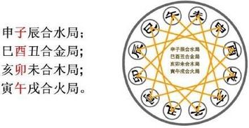 婚姻宫与月令相合，卯戌大运如何与月令相合详解？