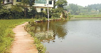 家门口有水塘好不好,家门口有水塘好不好