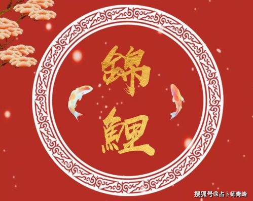 双鱼座的明日运势查询结果是什么？