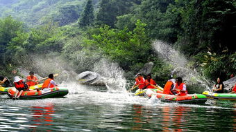 迷路惊魂记：一场50元买来的教训