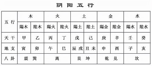 2026年属鼠女性全年运势具体如何？
