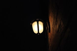 夜深了 风也怪