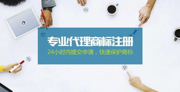 如何查询注册商标吉凶及品牌商标信息？