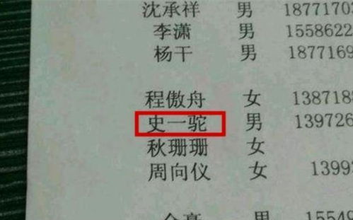 4. 生僻字危机