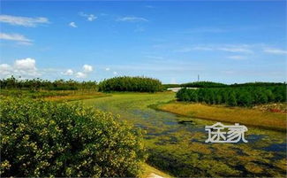 当海湾森林的门票让你哭晕在厕所时，这些骚操作能救你！