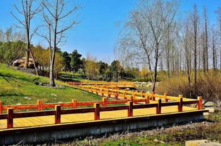 蠡湖公园：散步+自拍+意外遇见老爷爷讲故事