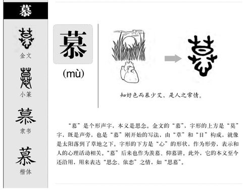 楠字的取名寓意