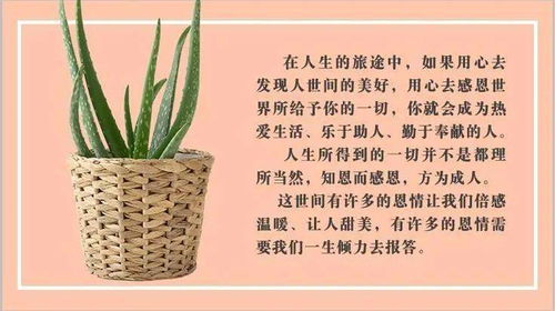 三、音韵和谐很十分沉关键