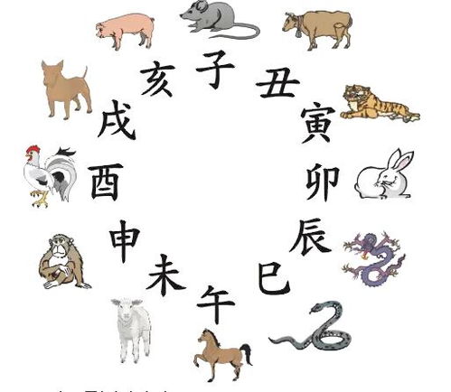 北方的生肖指的是哪些动物？