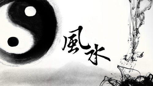 财帛宫入命究竟预示着什么好运或财富的象征？