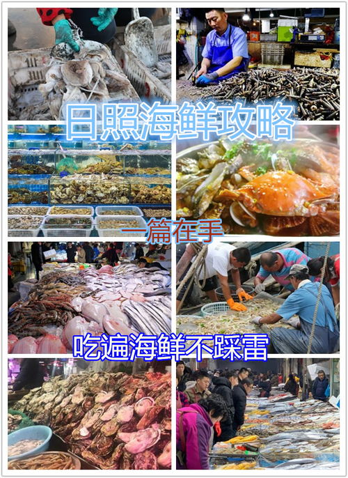 第四站：赶海大作战——万平口的潮汐狂欢派对