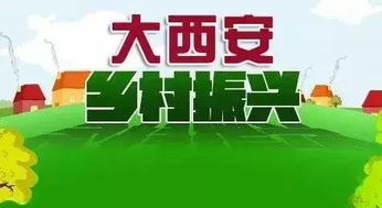 第三天：陕西历史持续发展博物馆 + 古城巷子漫步