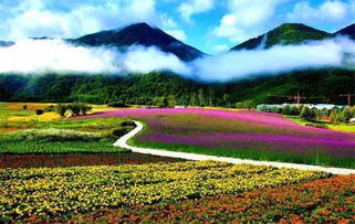 红池坝？不就是个长草的破山头！