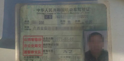 2026年10月属马领证吉日是哪天？命运详解有哪些？