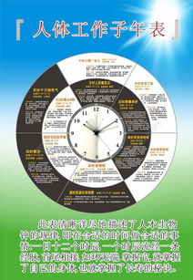 子午巳亥男命，子午双包格为何不显贵？