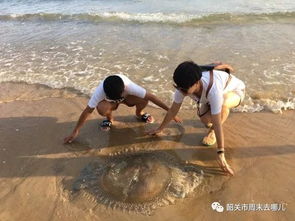 第二章：抵达与第一眼惊艳