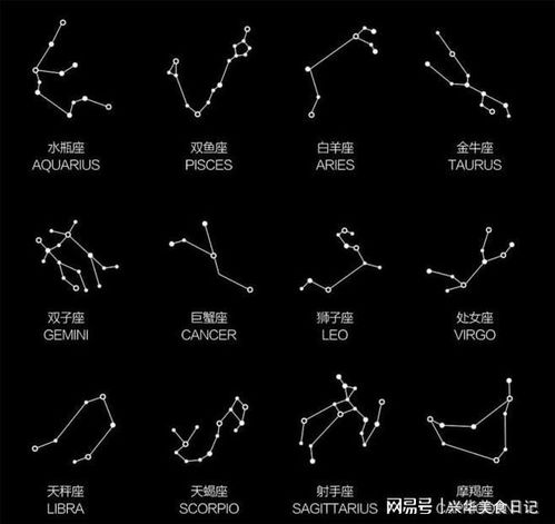 摩羯座：社畜的逆袭