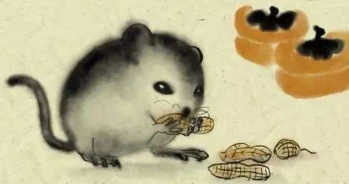 1972年出生属鼠的男性在2025年的运势如何？