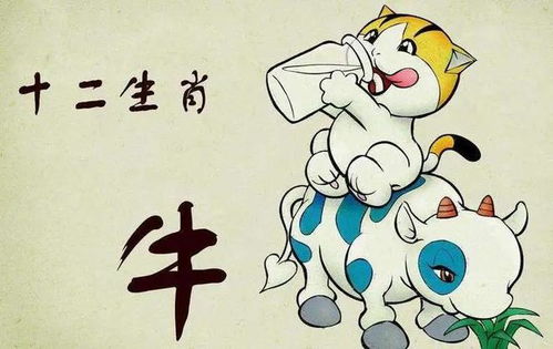 生肖牛的执念与流年的冲撞