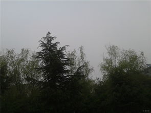 清明鬼影， 真实相揭晓