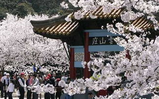 给后来者的碎碎念