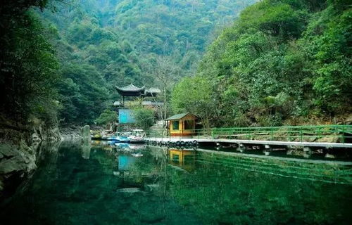 #噪声# 五、 旅行团乱入：汽车前行到铜锣村时的突发状况