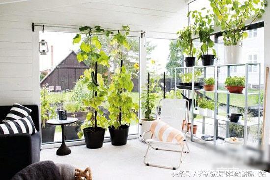 震惊！公司前台放这些植物竟能年赚百万？2026年财运大爆发指南