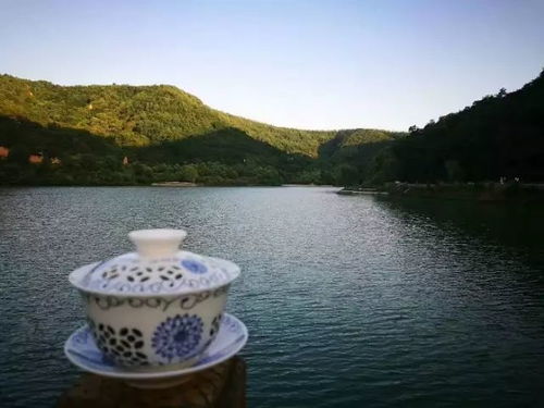 五一，西湖等你来“薅羊毛”！