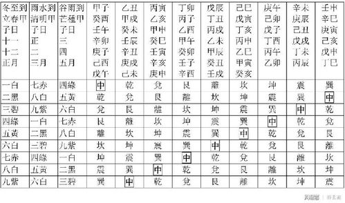 2. 紫白九星布局：吉星能量加持