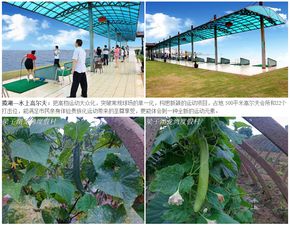 五、  & 再说说建议