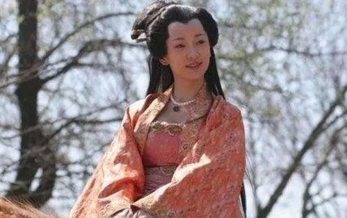 ① 较高阳公主的血脉——北魏与唐朝双沉重影子